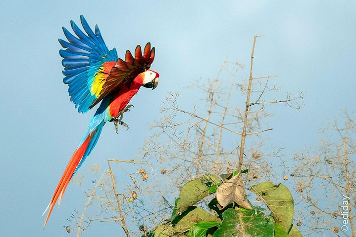 P.N. Day Tour Carara & beach - Photo 1 of 2